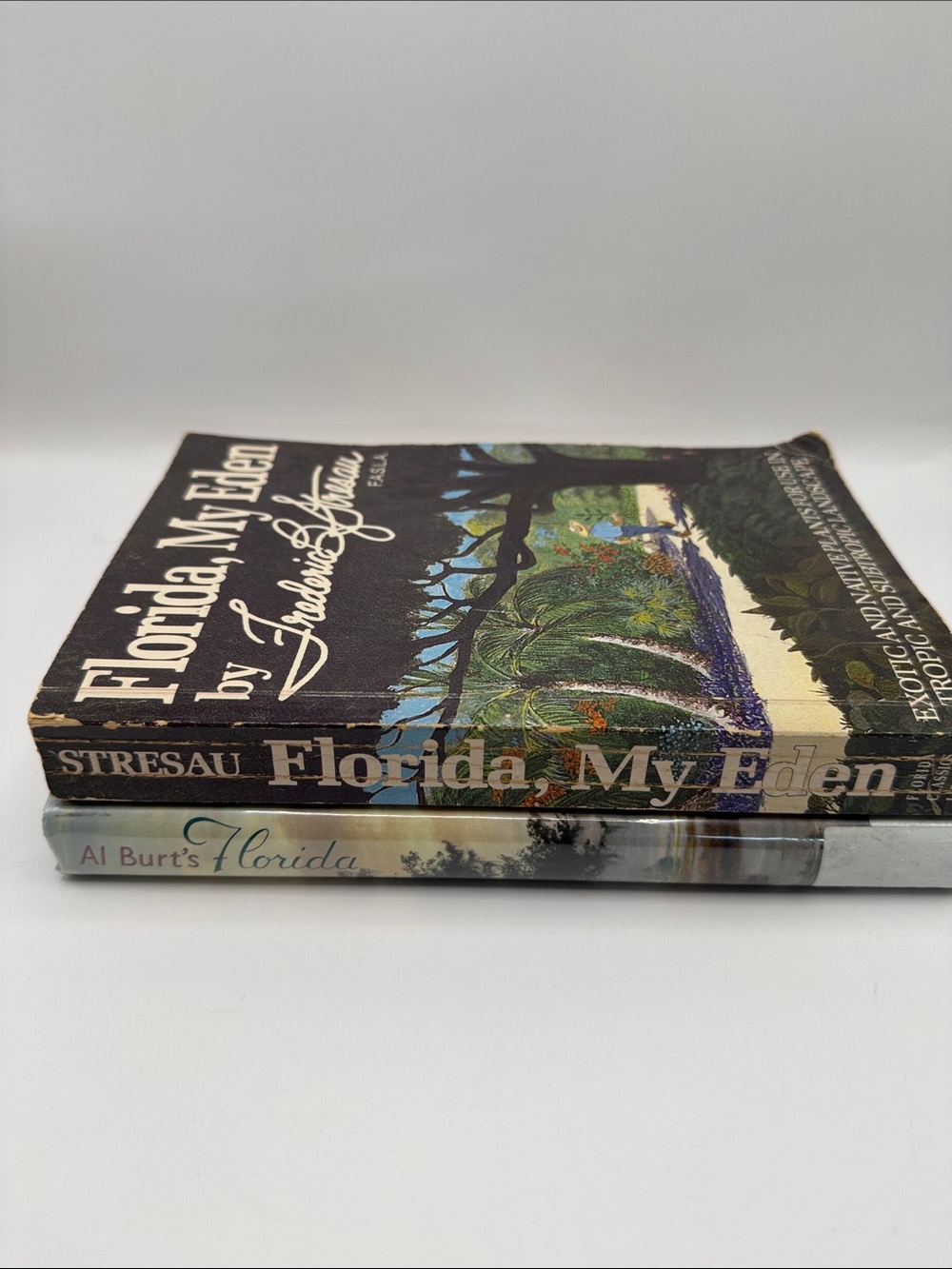 Florida Coastal Decorative Book Bundle | Florida My Eden & Al Burt’s Florida